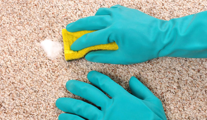 Carpet Deodorizing Service