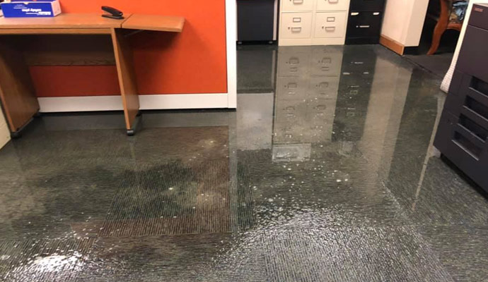 Water damaged carpet on floor