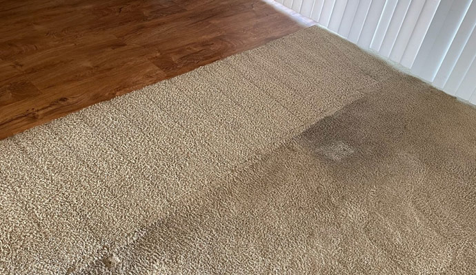 carpet stained from bleach