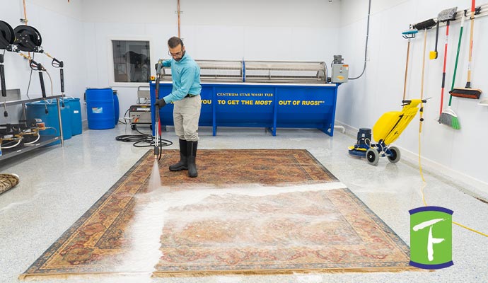 professionally rug cleaning