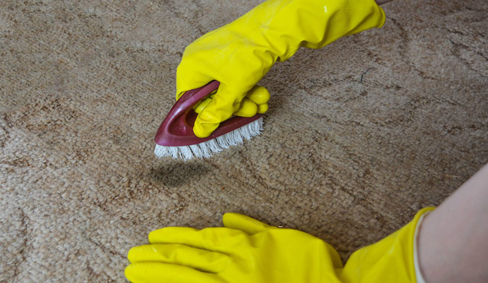 Stain Removal Service in Cincinnati, Ohio