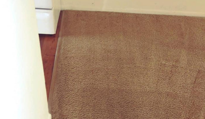 Woven Carpet Cleaning in Dayton & Greater Cincinnati, OH